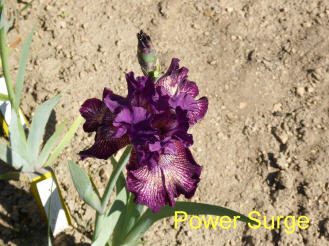 Power Surge