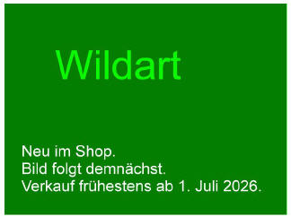 Iris schelkownikowii