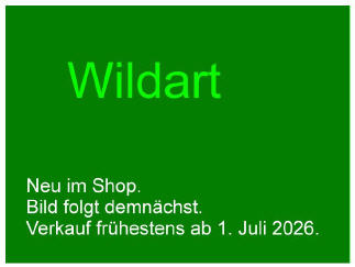 Sisyrinchium palmifolium